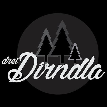 Drei Dirndla Apartamento Schladming Exterior foto